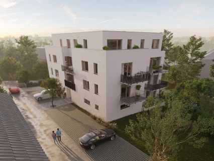 Místní noviny o nás napsaly